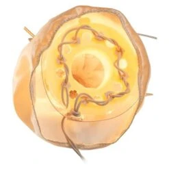 Kurt S. Adler Christmas Tree Topper (00082) -Xmas Trees Store 000826md