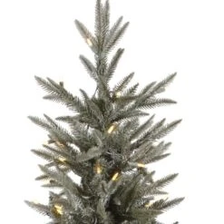 Vickerman Pre-Lit Artificial Christmas Tree (21669) -Xmas Trees Store 21669Miscmd