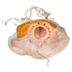 Kurt S. Adler Christmas Tree Topper (37194) 14 Kurt S. Adler Christmas Tree Topper (37194) -Xmas Trees Store 371945md