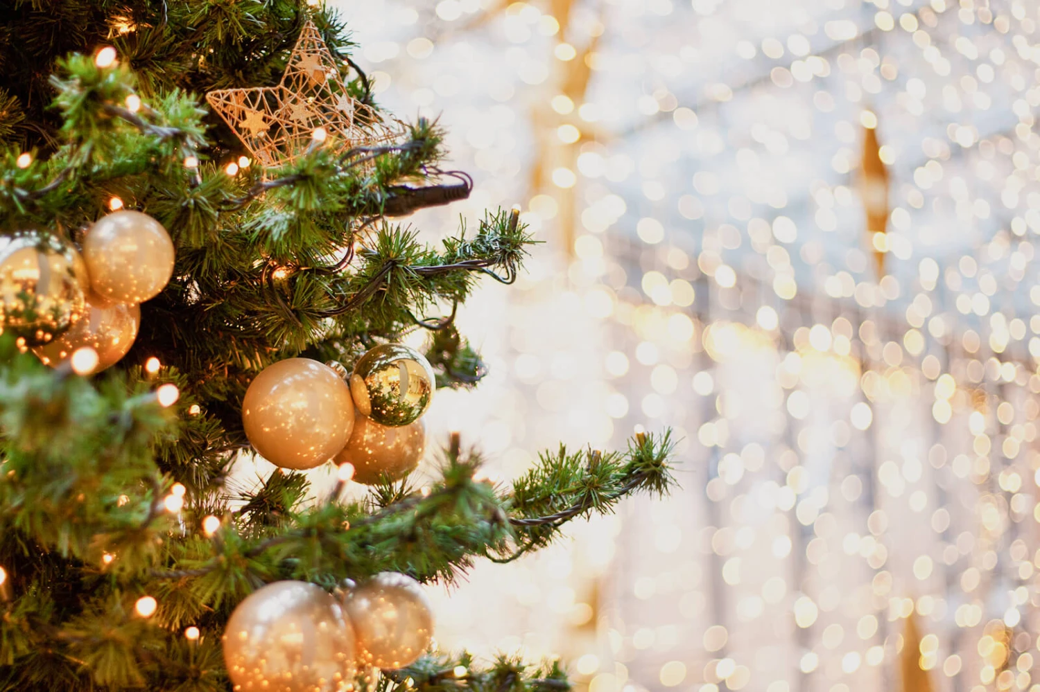 Xmas Trees Store -Xmas Trees Store 273890 1600x1066 quick history christmas lights